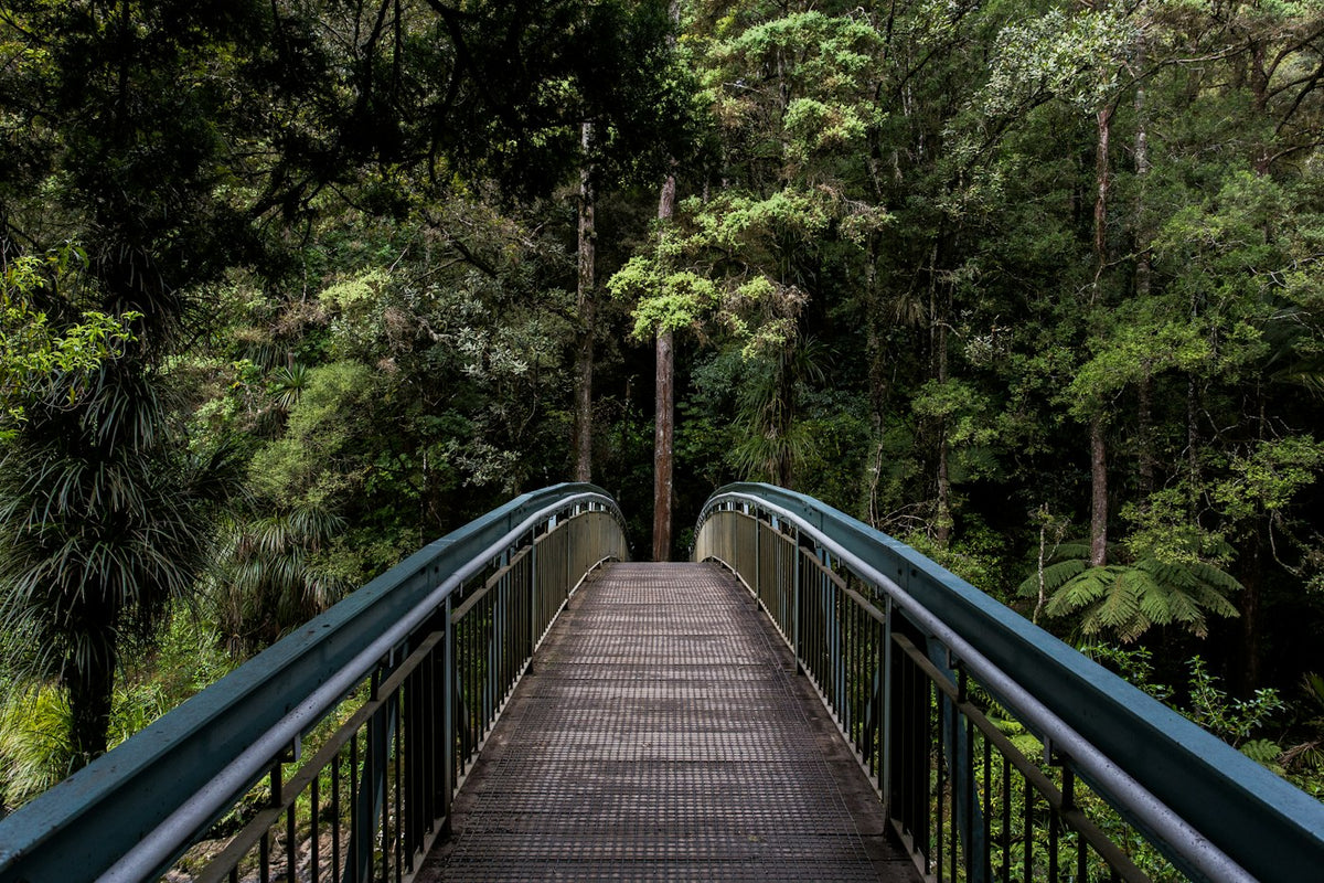 What to Include in a GLP-1 Insurance Appeal Letter
