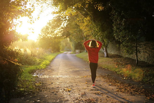 Person walking on a sunlit tree-lined path in athletic wear