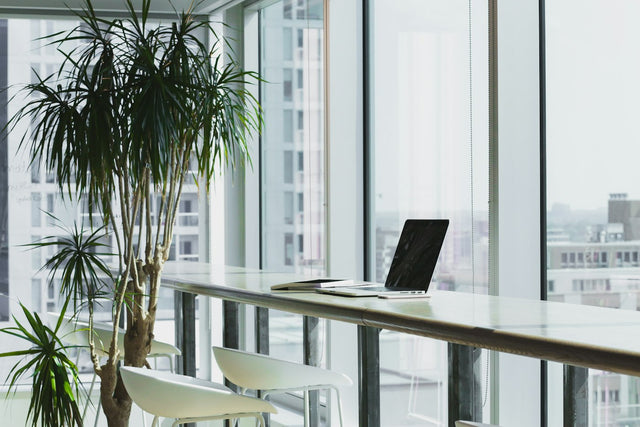 Person reviewing paperwork at a desk