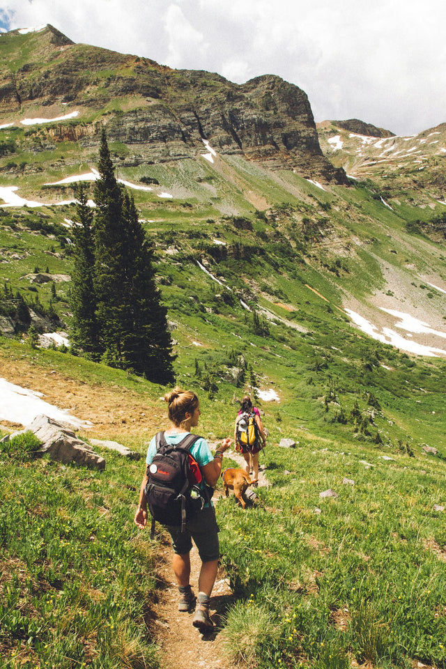 Two women hiking an alpine trail with a dog