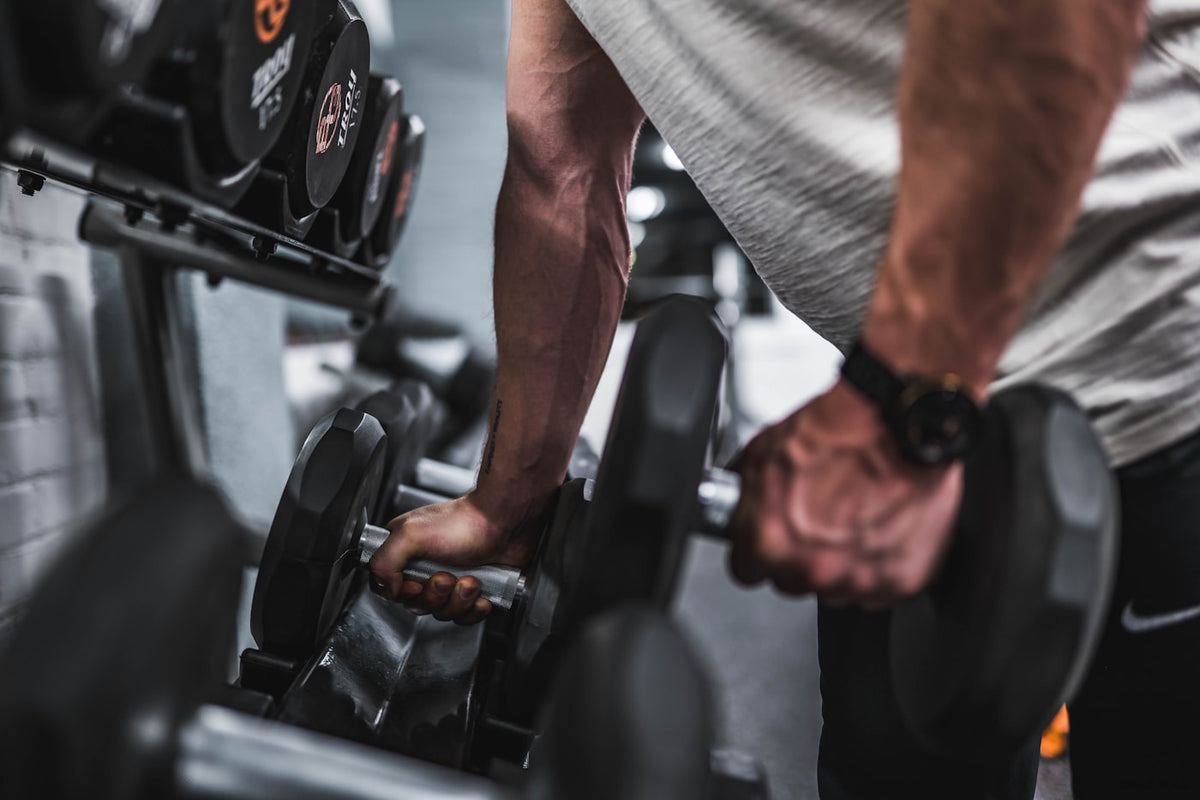 Person lifting weights in a gym, representing body composition and muscle research goals