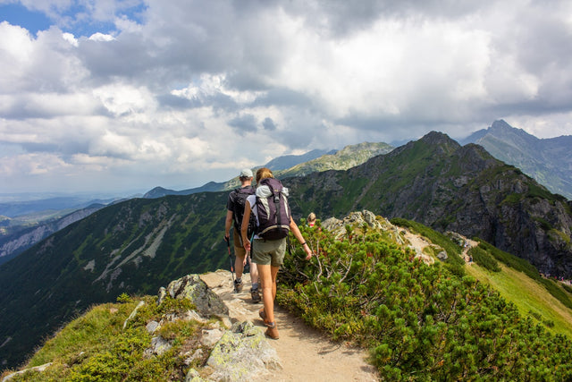 Active hikers on a mountain trail representing longevity and active aging