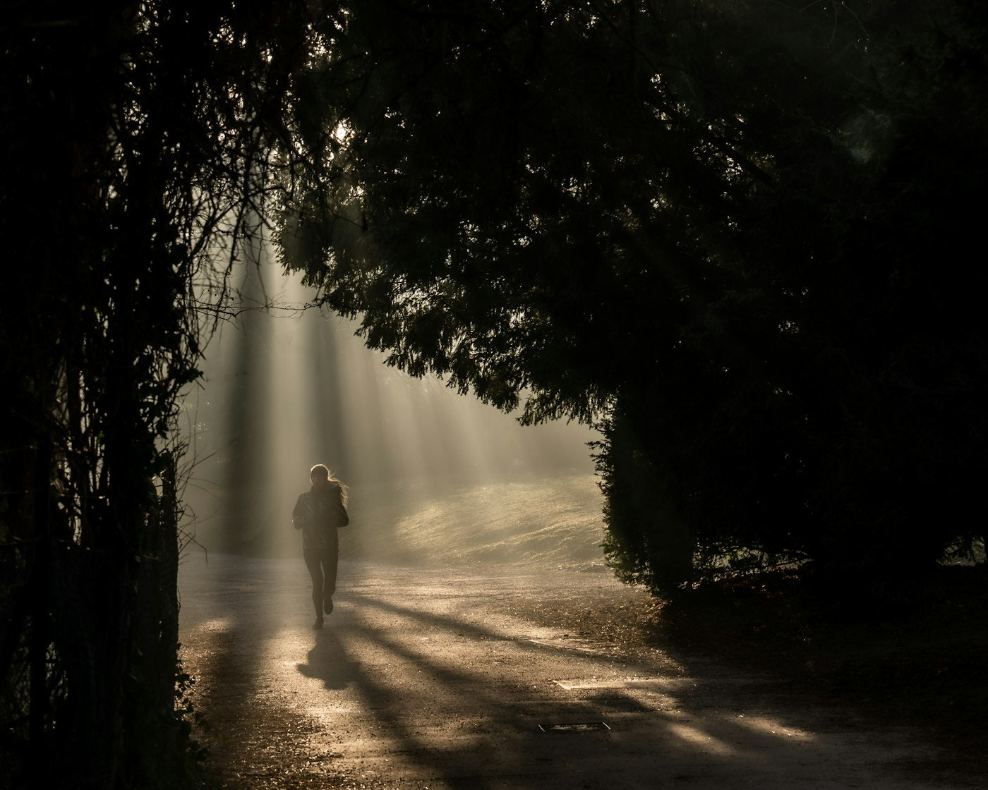 Person jogging on a tree-lined path through morning light, healthy active lifestyle