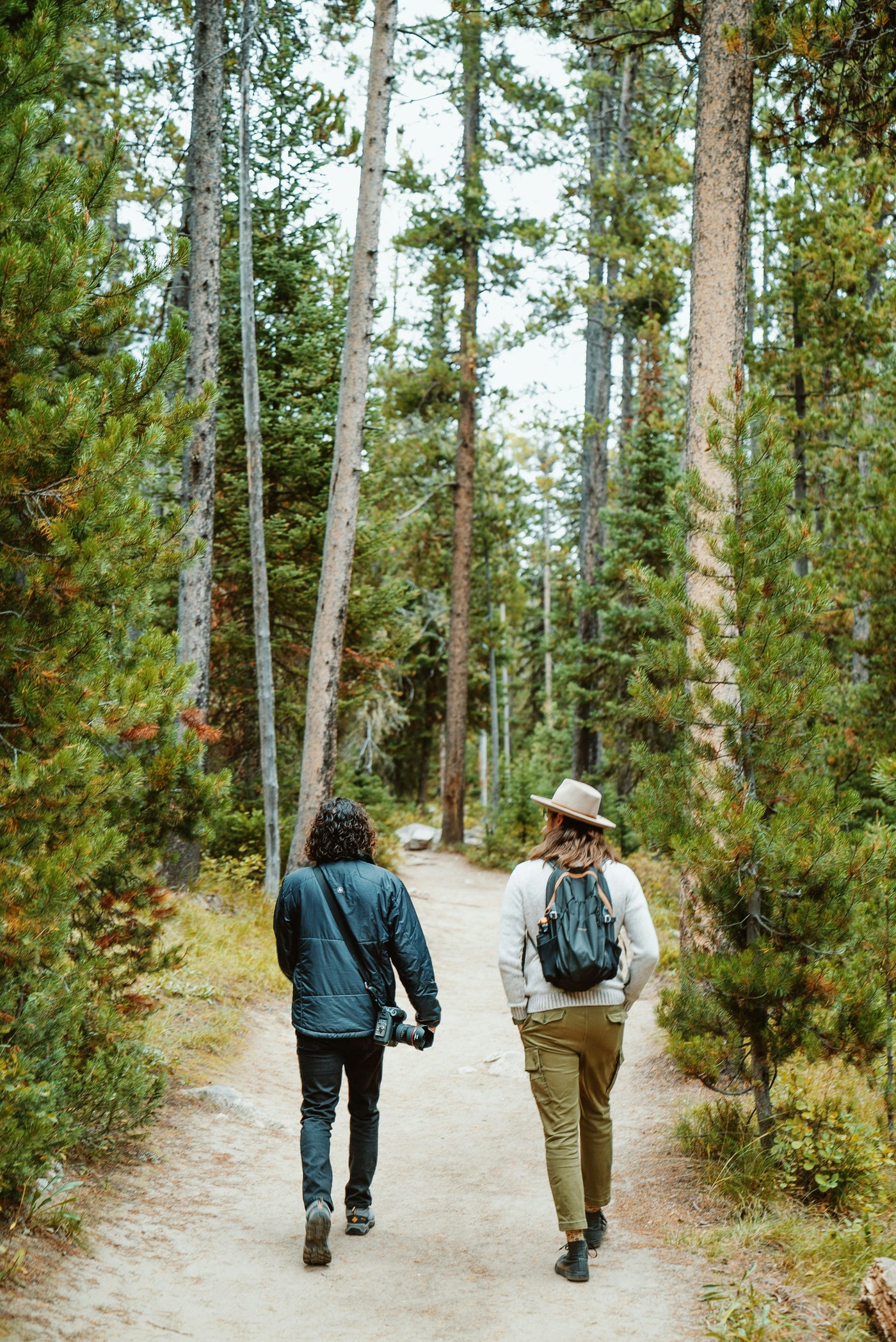 Two people hiking on a forest trail, representing active outdoor lifestyle and longevity