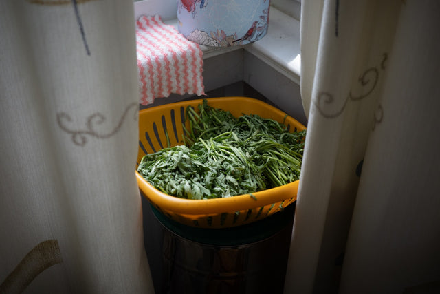Chopped green vegetables in a colander, representing healthy nutrition
